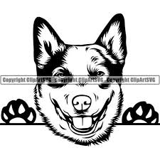 Check spelling or type a new query. Australian Cattle Dog Decal Peeking Smiling Dog Breed Full Color Sports Outdoors Handmade Products Kmotors Co Th