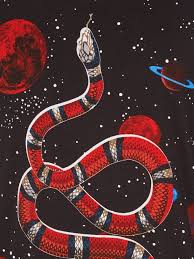 In this products collection we have 20 wallpapers. 96 Gucci Snake Wallpaper On Wallpapersafari