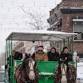 Horse Drawn Trolley Rides Downtown