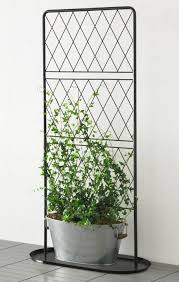 Ikea Us Furniture And Home Furnishings Plants Climbing Plants Trellis