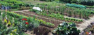 En matière de plantations, quels sont les travaux à effectuer au jardin en automne ? Les Jardins Familiaux Evreux