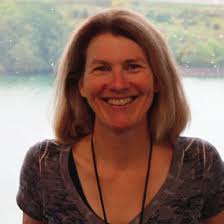 How can plants clean contaminated soils?