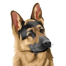 Der grund liegt darin, dass eine. Hund Katze Als Cartoon Zeichnen Lassen