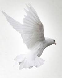 Margaret Mary Strack Obituary (2023)