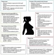 Temp mail will help protect you from spam, malware, and buying and selling user. Frontiers Nutrition And Metabolic Adaptations In Physiological And Complicated Pregnancy Focus On Obesity And Gestational Diabetes Endocrinology