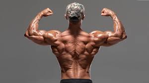 A series of muscles and ligaments in your back hold the bones of your spinal column in. 5 Best Lower Back Exercises Workout The Trend Spotter