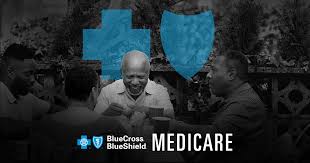 Organizations of the applicants who are selected for michl are required to pay a modest fee of $600. Medicare Benefit Of Blue Blue Cross Blue Shield