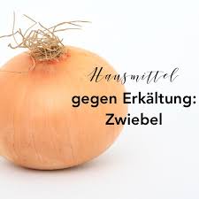 Und ich kann aus eigener erfahrung sagen, dass der zwiebelhustensaft selbst gegen starken reizhusten hervorragend. Hausmittel Gegen Erkaltung Co Allrounder Zwiebel
