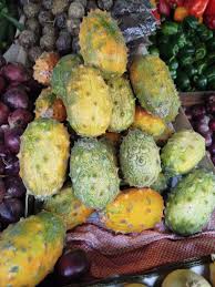 Image result for Schizozygia coffaeoides