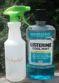 Safer Mosquito Repellant Adventureideaz Com Safe Mosquito Repellant Mosquito Repellent Fly Repellant