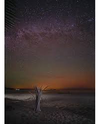 Hanging out late to watch the night life above Gonzaga Bay, Mexico . . . .  . . #milkyway #nightstar #beach #beachvibes #stars #nightsky  #nightskyphotography_exclusive