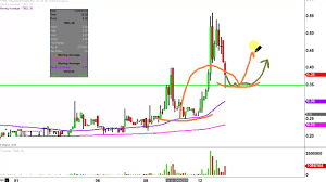 transgenomic inc tbio stock chart technical analysis for 12 12 16