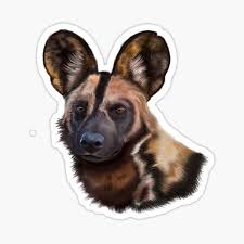 Maybe you would like to learn more about one of these? African Wild Dog Stickers Redbubble