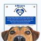 Love on a Leash event image
