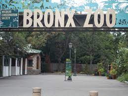 The Bronx Zoo Bronx Zoo Bronx Zoo