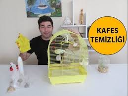 Kafes Temizligi Nasil Yapilir Kafes Kus Kafesi Kus