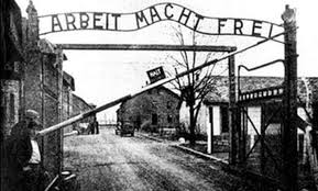 Image result for holocaust photos