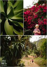 Things To Do In Honolulu With Kids Koko Crater Botanical Garden Botanical Gardens Botanical Garden