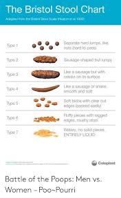 The Bristol Stool Chart Adapted From The Bristol Stool Scale