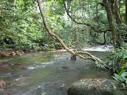 Check spelling or type a new query. Jelajah Selangor Melangkah Ke Hulu Langat Part 2