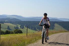 Mountainbike Touren Im Schwarzwald Mtb Touren Finder Fahrrad Mountainbike E Bike Touren Schwarzwald