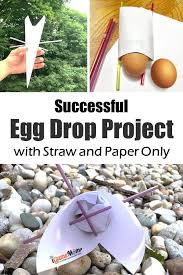 Successful Egg Drop Project Design With Straw And Paper Egg Drop Project Science Activities For Kids Egg Drop