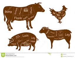 beef pork chicken and lamb meat cuts stock vector