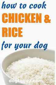How To Cook Chicken And Rice For Dogs Chicken Dog Food Recipes Healthy Dog Food Recipes Dog Food Recipes
