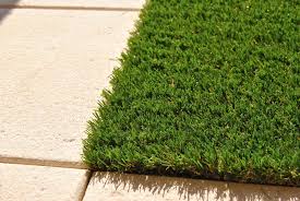 Conservationists Slam Gardeners For Using Artificial Grass Which Is  'Terrible For Birds And Bees' | Daily Mail Online