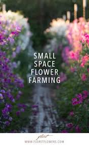 A cutting garden is one of the most rewarding gardens you can plant. Flowers For Cutting Garden