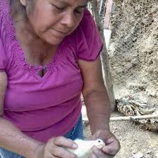 Drought in Central America: overcoming the effects of a silent enemy