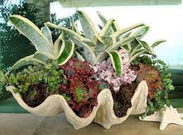 Find great deals on ebay for extra large clam shell. Decorating With Giant Clam Shells In Coastal Interiors