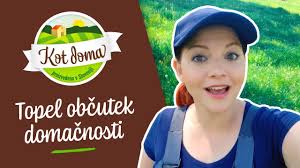 brynn black female escorts in chicago il hot.com