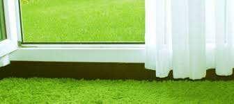 Image result for green carpets blog