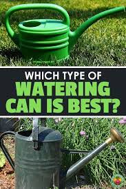 8 Best Watering Cans In 2021 For Outdoors Or Indoors Epic Gardening Canning Watering Can House Plant Care