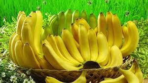 Check spelling or type a new query. Kuliner Lampung Wow Pisang Di Sini Bentuknya Bulat Yuk Icip Tribun Travel