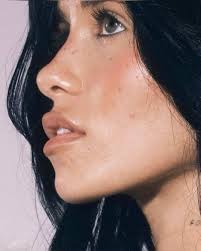 In 2017, the film “mid90s” was made using real skaters from Los Angeles,  chosen for their skills and genuine ties to the culture. None had prior  acting experience, and the cast was