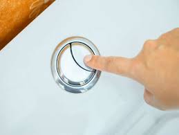 Check spelling or type a new query. Here S Why Toilet Flush Has One Large And One Small Button The Times Of India