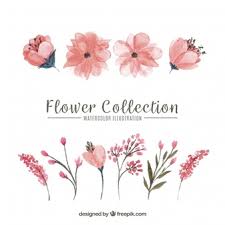 Schablonen zum ausdrucken ranken : 38 Blumenranken Vorlagen Kostenlos Besten Bilder Von Ausmalbilder