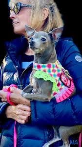 Mitch Adler Interpreted Photo Portraits