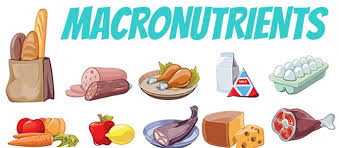 There are three types of macronutrients: Nutrition Macronutrients Purpose And Function Pg Wellness