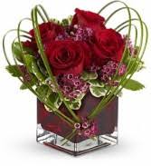 We did not find results for: Lakeland Fl Flower Shops Local Lakeland Florists Flower Shop Network