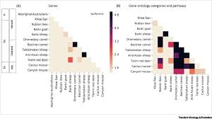 Life In Deserts The Genetic Basis Of Mammalian Desert Adaptation Sciencedirect
