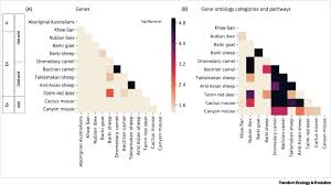 Mice living in a desert 1. Life In Deserts The Genetic Basis Of Mammalian Desert Adaptation Sciencedirect