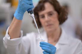 Brazil's banana spider aids erectile dysfunction treatment