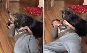 Notizie, foto e video su bambino autistico, tutti gli aggiornamenti il messaggero. Video Animali Cane Conforta Bambino Autistico In Preda Ad Una Crisi