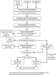 But lung cancer also occurs in people who never smoked and in those who never had prolonged exposure to. British Thoracic Society Guidelines For The Investigation And Management Of Pulmonary Nodules Accredited By Nice Thorax