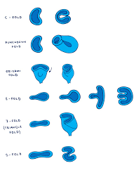 Get to know your anatomy and how the pelvic region as it pertains to using a menstrual cup. Saalt Cup Review A Zero Waste Period Staple Low Impact Love