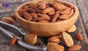 © متوفر بواسطة صحيفة عاجل الالكترونية. Ù„Ù„Ø±Ø¬Ø§Ù„ ÙˆØ§Ù„Ù…Ø¯Ø®Ù†ÙŠÙ† Ø®Ø§ØµØ© Ù…Ø§Ø°Ø§ ØªØ¹Ø±Ù Ø¹Ù† ÙÙˆØ§Ø¦Ø¯ Ø§Ù„Ù„ÙˆØ² Ù‚Ù†Ø§Ø© Ø§Ù„Ø¹Ø§Ù„Ù… Ø§Ù„Ø§Ø®Ø¨Ø§Ø±ÙŠØ©