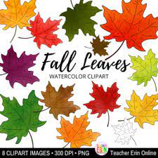 Fall Watercolor Leaves Clipartthis Clipart Set Of 13 Watercolor Autumn Leaves Is Perfect For Your Fall Craf Watercolor Leaves Clip Art Watercolor Autumn Leaves